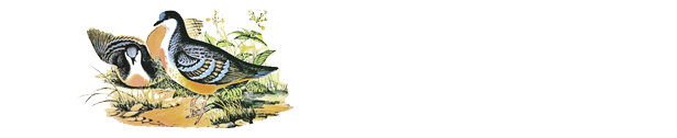 Le Pigeonnier